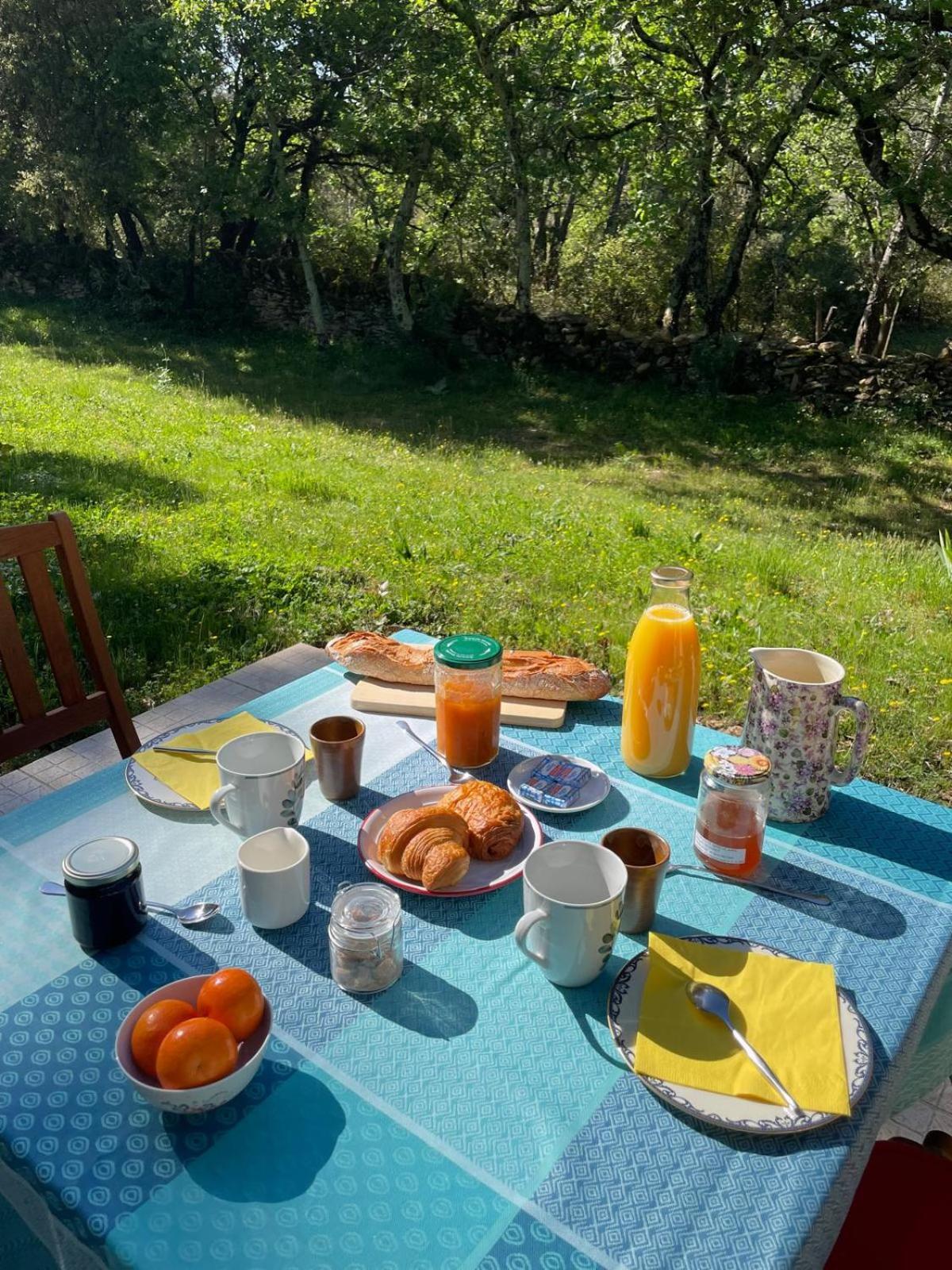 Les Marguerites Bed and Breakfast Vers-Pont-du-Gard Exteriör bild